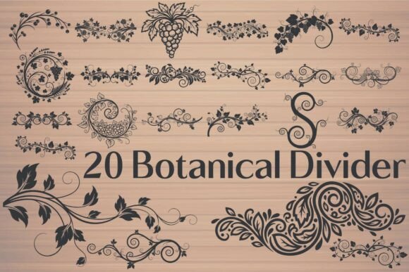 Download Botanical Divider - Botanical Collection
